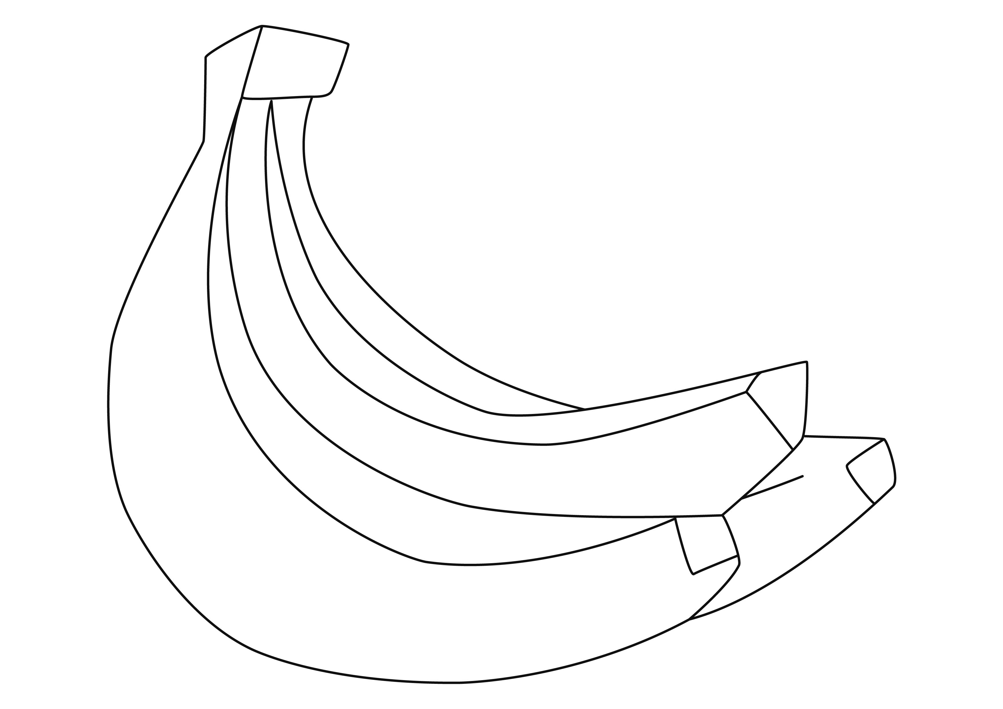 Bananes 02